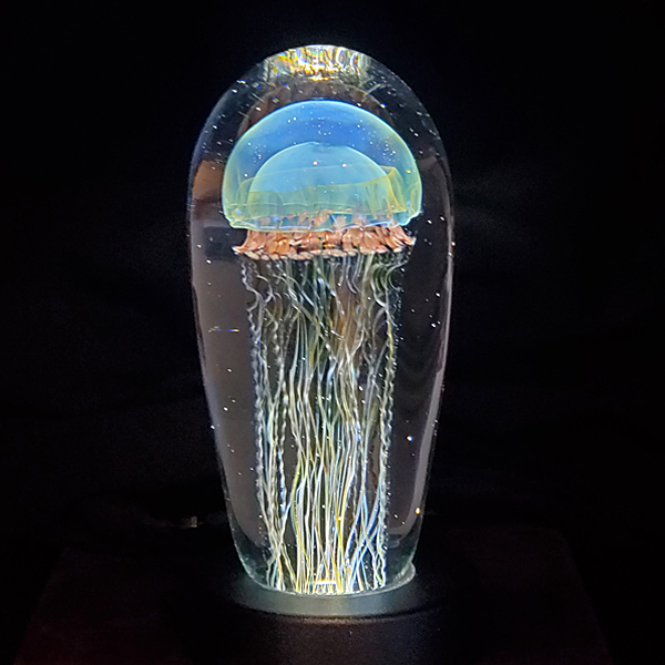 Moon Jellyfish: 123-21 w/ Free LED Lightbase