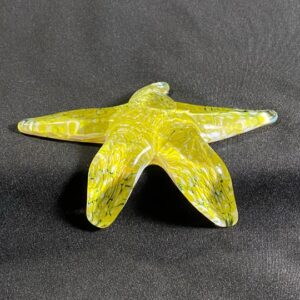 Starfish Brilliant by John Gibbons