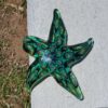 "Starfish: Tidepool Green Barnacle" - Thumbnail Image 2
