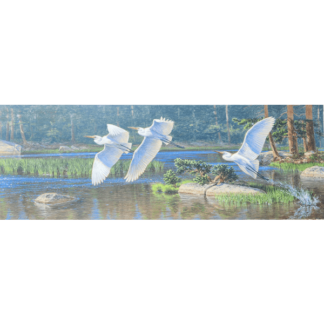 "The Zen of Flight" (30" x 11")
