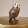 Spotted Owl by Brian Arthur