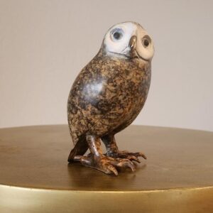 Spotted Owl by Brian Arthur