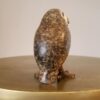 Spotted Owl by Brian Arthur