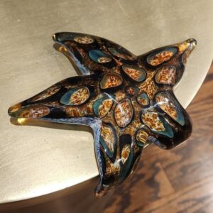 "Starfish: Tidepool Amber Barnacle" Free Shipping!