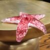 "Starfish: Beachy Pink" - Thumbnail Image 2