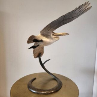 "Medium Open Wing Pelican" (16" H) See Video!
