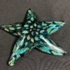 "Starfish: Tidepool Green Barnacle" - Thumbnail Image 3