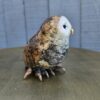 "Little Owl" "4 H (See video) - Thumbnail Image 5