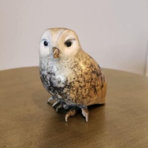 "Little Owl" "4 H (See video)