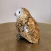 "Little Owl" "4 H (See video) - Thumbnail Image 2