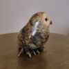 "Little Owl" "4 H (See video) - Thumbnail Image 3