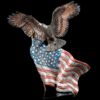 Reaching Higher - Eagle with American Flag Sculpture by Artist Kitty Cantrell - Thumbnail Image 2
