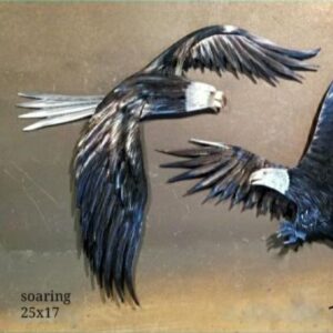 "Soaring" Free USA Shipping!
