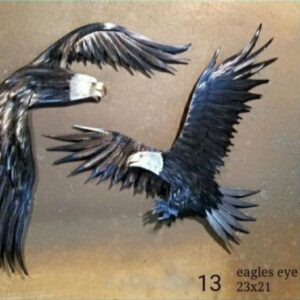 "Eagle Eye" Free USA Shipping!