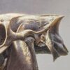 "Sonoran Desert Find" - Thumbnail Image 4