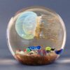 MAGNUM "Moon Jelly Sideswimmer" 1435-23 (5.5" H) - Thumbnail Image 1