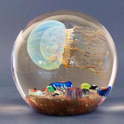 "MAGNUM Moon Jelly Sideswimmer" 1435-23 (5.5" H)(See Videos!) Free USA Shipping!