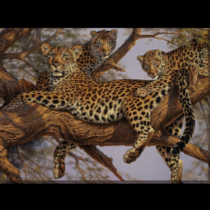 "Leopard Family, SE" Hand Enhanced Large Canvas