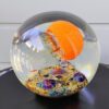 MAGNUM "Pacific Coast Sideswimmer" (5.5" H) Free USA Shipping! - Thumbnail Image 4