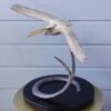 "Medium Open Wing Pelican" (16" H) See Video - Thumbnail Image 3