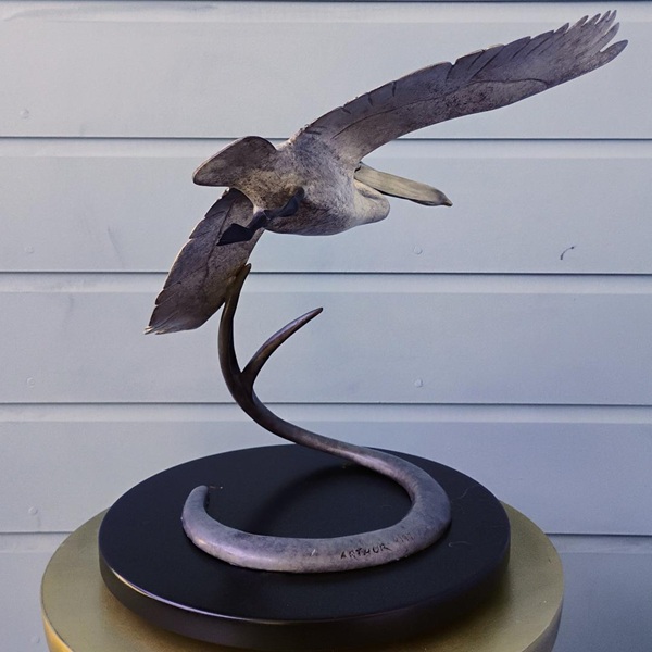 "Medium Open Wing Pelican" (16" H) See Video - Image 6